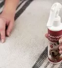 Clean Carpet Without a Carpet Cleaner